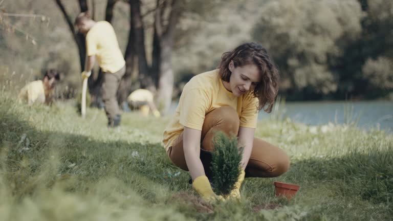 Leaf Removal